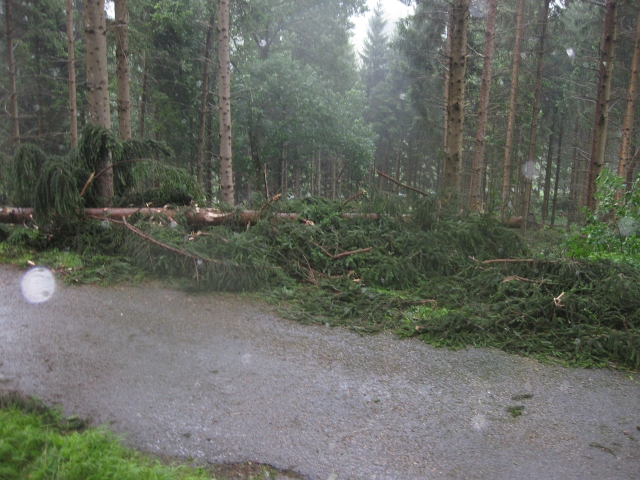 bild (5)